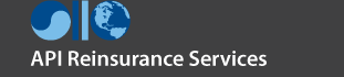 API REINSURANCE SERVICES